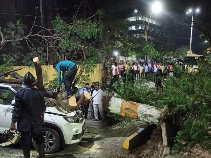 Tree falls on moving car in Thane Two wheeler rider injured | ठाण्यात धावत्या मोटारीवर कोसळले झाड: दुचीकीस्वार जखमी Tree falls on moving car in Thane Two wheeler rider injured | ठाण्यात धावत्या मोटारीवर कोसळले झाड: दुचीकीस्वार जखमी