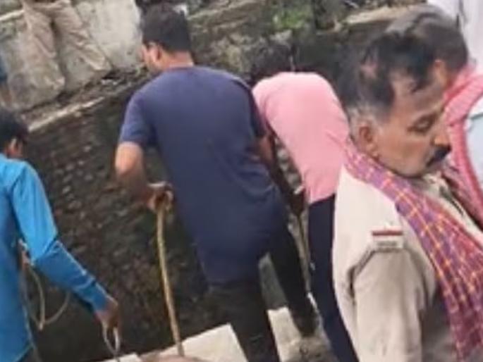 The youth who went down to save the calf that fell into the well fell unconscious one after another, five people died, the entire village was in mourning. | विहिरीत पडलेल्या वासराला वाचवण्यासाठी उतरलेले तरुण एका पाठोपाठ एक बेशुद्ध पडले, पाच जणांचा मृत्यू, संपूर्ण गावावर शोककळा  