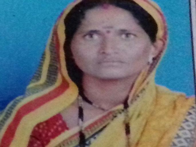 Appreciate truck accident, woman killed in Vadnar | अॅपेरीक्क्षा ट्रकचा अपघात, वडनेर येथीले महीला ठार Appreciate truck accident, woman killed in Vadnar | अॅपेरीक्क्षा ट्रकचा अपघात, वडनेर येथीले महीला ठार