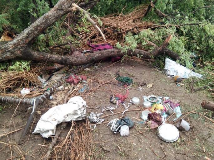 Four Death in tree collapse on home | धुळे जिल्ह्यात पत्र्याच्या शेडवर झाड पडल्याने चार जण ठार, एक जखमी