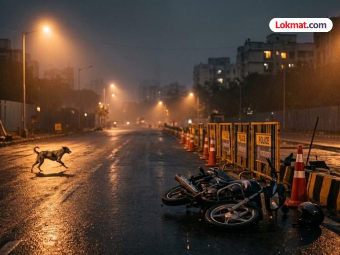 18 Year Old Girl Dead After Bike Skids Due to Stray Dog | "आई, मी घरी जेवायला येतेय...", म्हणाली अन् परतलीच नाही; दुचाकी अपघातात तरुणीचा मृत्यू 18 Year Old Girl Dead After Bike Skids Due to Stray Dog | "आई, मी घरी जेवायला येतेय...", म्हणाली अन् परतलीच नाही; दुचाकी अपघातात तरुणीचा मृत्यू