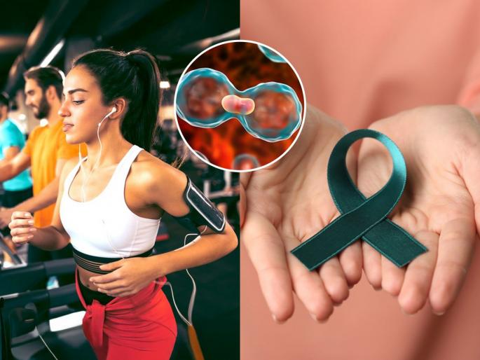 According To The Research Workout In a Day Can Reduce Cancer Risk Workout reduces cancer risk Daily exercise cancer prevention Exercise lowers cancer chances | रिसर्चचा दावा-व्यायाम केल्यानं कमी होतो कॅन्सरचा धोका, पण पाहा नेमका कोणता व्यायाम करायचा...