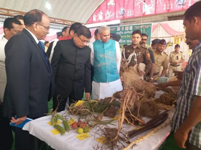 Conspiracy of foreign companies to nudge the country on chemical farming | रासायनिक शेतीने देश खिळखिळा करण्याचे विदेशी कंपन्यांचे षडयंत्र Conspiracy of foreign companies to nudge the country on chemical farming | रासायनिक शेतीने देश खिळखिळा करण्याचे विदेशी कंपन्यांचे षडयंत्र