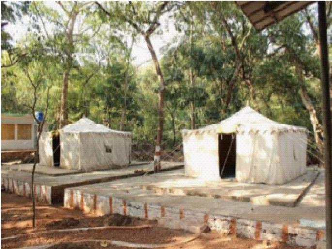 Tourists turn to Phansad due to lack of publicity; Lack of infrastructure in the sanctuary | प्रसिद्धीत कमी पडल्याने फणसाडकडे पर्यटकांची पाठ; अभयारण्यात पायाभूत सुविधांचा अभाव Tourists turn to Phansad due to lack of publicity; Lack of infrastructure in the sanctuary | प्रसिद्धीत कमी पडल्याने फणसाडकडे पर्यटकांची पाठ; अभयारण्यात पायाभूत सुविधांचा अभाव