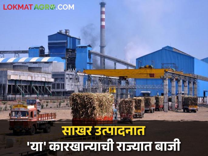 Sugarcane and sugar mill season of this factory in the state is over | गाळप हंगाम संपला! राज्यात 'या' कारखान्याची ऊस गाळपात अन् साखर उत्पादनात बाजी Sugarcane and sugar mill season of this factory in the state is over | गाळप हंगाम संपला! राज्यात 'या' कारखान्याची ऊस गाळपात अन् साखर उत्पादनात बाजी