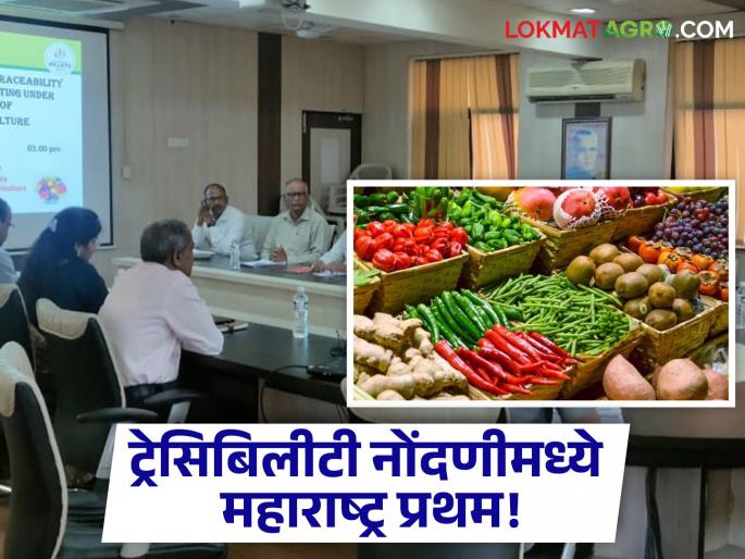 Maharashtra first in the country in crop traceability registration 73 thousand farmers in maharashtra | पिकांच्या ट्रेसिबिलीटी नोंदणीमध्ये देशात महाराष्ट्र प्रथम! पाऊण लाख शेतकऱ्यांनी केली नोंदणी Maharashtra first in the country in crop traceability registration 73 thousand farmers in maharashtra | पिकांच्या ट्रेसिबिलीटी नोंदणीमध्ये देशात महाराष्ट्र प्रथम! पाऊण लाख शेतकऱ्यांनी केली नोंदणी