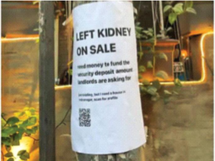 'Rent to be paid... Does anyone buy a kidney?' benguluru youth ad on tree social viral | ‘घरभाडे द्यायचेय... कुणी किडनी विकत घेता का?’ 'Rent to be paid... Does anyone buy a kidney?' benguluru youth ad on tree social viral | ‘घरभाडे द्यायचेय... कुणी किडनी विकत घेता का?’