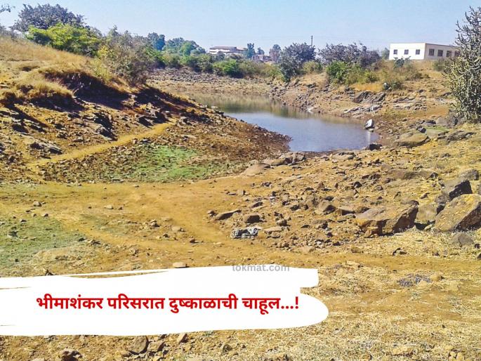 pune news water reserves in the western tribal belt have dried up since March; drought looms in the Bhimashankar area | पश्चिम आदिवासी पट्ट्यात मार्चपासूनच पाणीसाठे आटले; भीमाशंकर परिसरात दुष्काळाची चाहूल pune news water reserves in the western tribal belt have dried up since March; drought looms in the Bhimashankar area | पश्चिम आदिवासी पट्ट्यात मार्चपासूनच पाणीसाठे आटले; भीमाशंकर परिसरात दुष्काळाची चाहूल