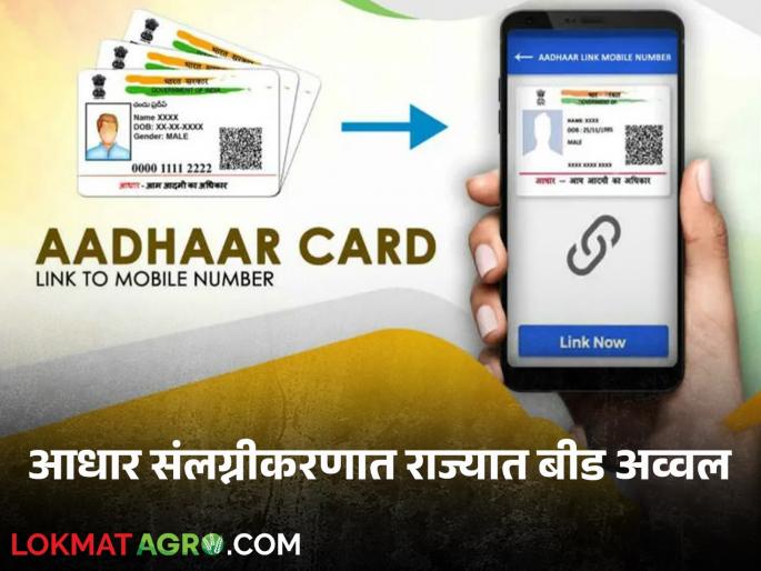 Aadhaar Seeding : Financial assistance to farmers; Beed tops in state in Aadhaar affiliation Read more | Aadhaar Seeding : शेतकऱ्यांना मिळणार अर्थसाह्य; आधार संलग्नीकरणात राज्यात बीड अव्वल वाचा सविस्तर Aadhaar Seeding : Financial assistance to farmers; Beed tops in state in Aadhaar affiliation Read more | Aadhaar Seeding : शेतकऱ्यांना मिळणार अर्थसाह्य; आधार संलग्नीकरणात राज्यात बीड अव्वल वाचा सविस्तर