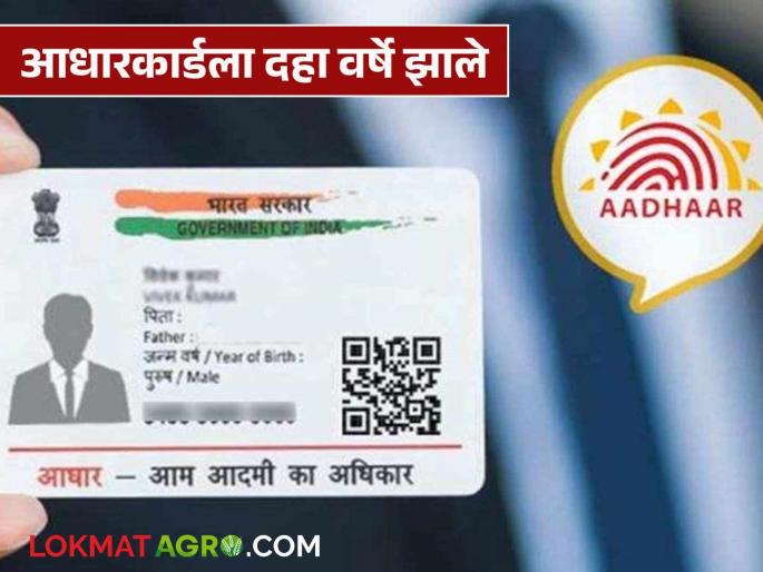 Latest News Aadhaar card ten years old Update it now Otherwise facility stops see details | तुमचं आधारकार्ड दहा वर्ष जुनं आहे? आताच अपडेट करा, अन्यथा 'या' सुविधा बंद होतील!  Latest News Aadhaar card ten years old Update it now Otherwise facility stops see details | तुमचं आधारकार्ड दहा वर्ष जुनं आहे? आताच अपडेट करा, अन्यथा 'या' सुविधा बंद होतील!