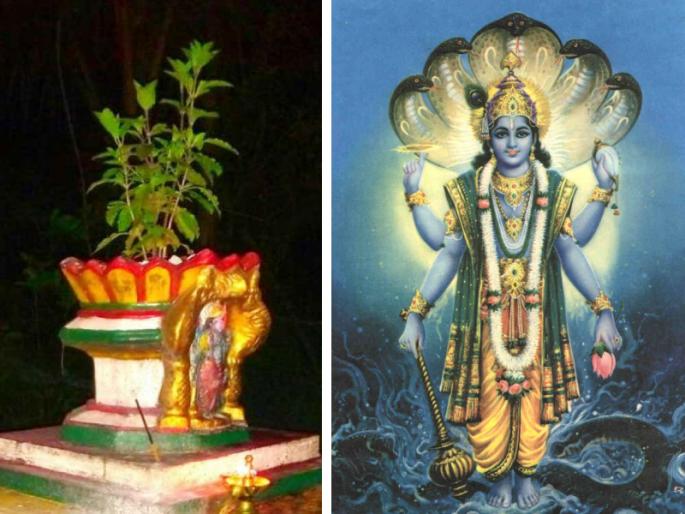 Adhik Maas 2020: Put Tulsi Vrindavan at the door, Lakshmi will come along with Lakshmipati! | Adhik Maas 2020: तुळशी वृंदावन लावा दारी, लक्ष्मीसोबत लक्ष्मीपतीही येतील घरी! Adhik Maas 2020: Put Tulsi Vrindavan at the door, Lakshmi will come along with Lakshmipati! | Adhik Maas 2020: तुळशी वृंदावन लावा दारी, लक्ष्मीसोबत लक्ष्मीपतीही येतील घरी!
