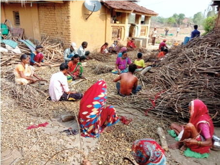 Use of tribal skills to raise living standards | आदिवासींच्या कौशल्याचा जीवनमान उंचावण्यासाठी वापर Use of tribal skills to raise living standards | आदिवासींच्या कौशल्याचा जीवनमान उंचावण्यासाठी वापर