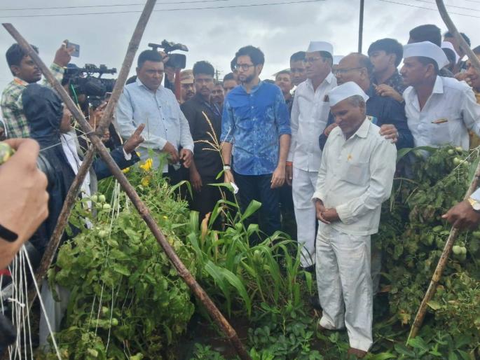 Aditya Thackeray will hold the government accountable for being insensitive towards farmers | शेतकऱ्यांबद्दल असंवेदनशील असणाऱ्या सरकारला जाब विचारणार: आदित्य ठाकरे Aditya Thackeray will hold the government accountable for being insensitive towards farmers | शेतकऱ्यांबद्दल असंवेदनशील असणाऱ्या सरकारला जाब विचारणार: आदित्य ठाकरे
