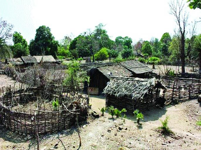 Vikas Ganga did not come to the doorstep of the tribals, the administration was constantly neglected | आदिवासींच्या दारात अवतरली नाही विकासगंगा, प्रशासनाचे सातत्याने दुर्लक्ष Vikas Ganga did not come to the doorstep of the tribals, the administration was constantly neglected | आदिवासींच्या दारात अवतरली नाही विकासगंगा, प्रशासनाचे सातत्याने दुर्लक्ष