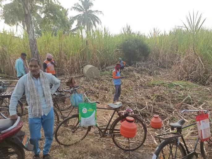 Andolan Ankush shut down sugarcane mills in Shirol taluka Kolhapur on the second day as well | Kolhapur: आंदोलन अंकुशने शिरोळ तालुक्यात दुसऱ्या दिवशीही ऊसतोडी बंद पाडल्या Andolan Ankush shut down sugarcane mills in Shirol taluka Kolhapur on the second day as well | Kolhapur: आंदोलन अंकुशने शिरोळ तालुक्यात दुसऱ्या दिवशीही ऊसतोडी बंद पाडल्या