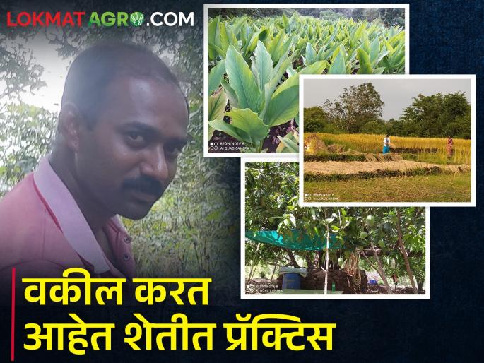 Adv. Along with advocacy, Sawant maintained his interest in agriculture | अॅड. सावंत यांनी वकिलीसोबतच जपली शेतीची आवड Adv. Along with advocacy, Sawant maintained his interest in agriculture | अॅड. सावंत यांनी वकिलीसोबतच जपली शेतीची आवड