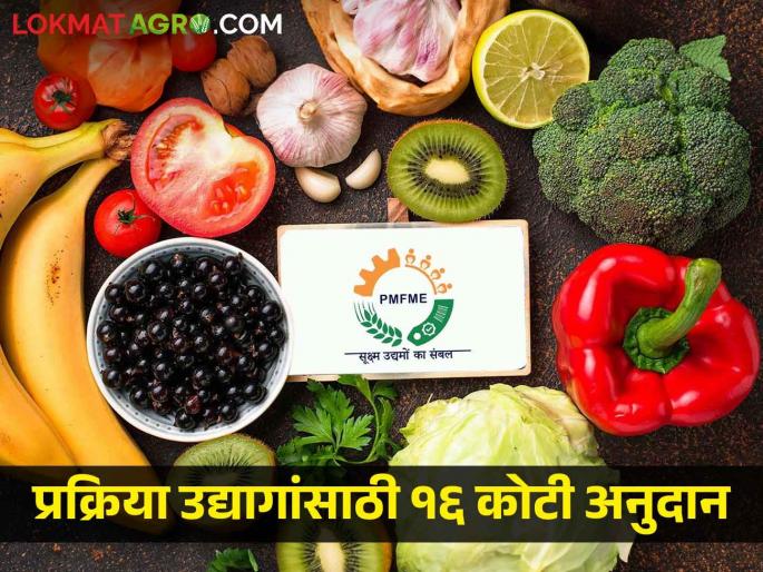 16 crore subsidy for processing industries, 46 crore sanctioned to 389 industries | प्रक्रिया उद्योगांसाठी १६ कोटी अनुदान, ३८९ उद्योगांना ४६ कोटी मंजूर