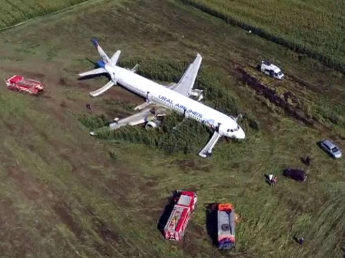 russian pilot lands in a corn field with 233 on board hailed as a hero | पक्ष्यांच्या थव्याला धडकल्यानं विमानाचं इंजिन फेल, 233 प्रवासी थोडक्यात बचावले russian pilot lands in a corn field with 233 on board hailed as a hero | पक्ष्यांच्या थव्याला धडकल्यानं विमानाचं इंजिन फेल, 233 प्रवासी थोडक्यात बचावले