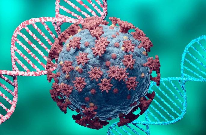 No Delta positives in Akola; Caution required! | अकोला जिल्ह्यात डेल्टाचा एकही पॉझिटिव्ह नाही; खबरदारी आवश्यक!