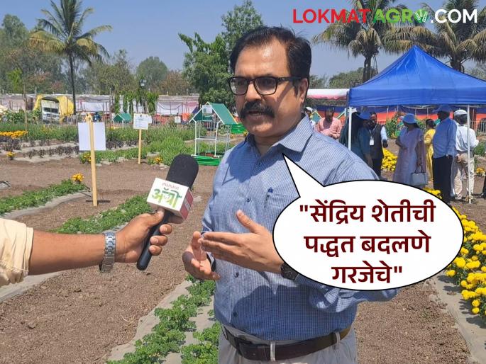 organic farming agriculture commissioner extension farmer universities dr. suraj mandhare | Organic Farming : विद्यापीठांचे संशोधन आणि 'कृषि'कडून विस्तारचा सुवर्णमध्य साधला तर शेती फायदेशीर organic farming agriculture commissioner extension farmer universities dr. suraj mandhare | Organic Farming : विद्यापीठांचे संशोधन आणि 'कृषि'कडून विस्तारचा सुवर्णमध्य साधला तर शेती फायदेशीर