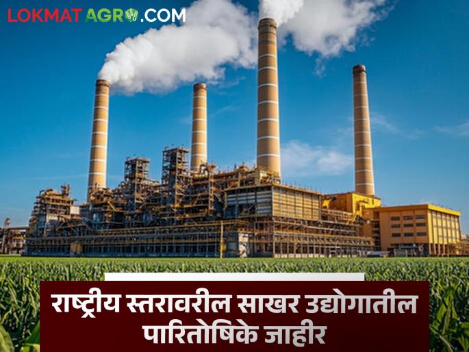 Sugarcane Factory: National level cooperative sugar factories awards announced; Maharashtra gets 10 awards | Sugarcane Factory : राष्ट्रीय स्तरावरील सहकारी साखर कारखान्यांचे पारितोषिक जाहीर; महाराष्ट्राला मिळाले १० पुरस्कार Sugarcane Factory: National level cooperative sugar factories awards announced; Maharashtra gets 10 awards | Sugarcane Factory : राष्ट्रीय स्तरावरील सहकारी साखर कारखान्यांचे पारितोषिक जाहीर; महाराष्ट्राला मिळाले १० पुरस्कार
