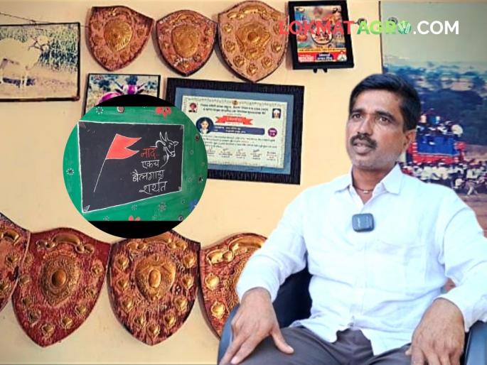 If there should be a sound! The whole house is filled with bullock cart race prizes | नाद असावा तर असा! बैलगाडा शर्यतीच्या बक्षिसांनी भरलंय अख्खं घर If there should be a sound! The whole house is filled with bullock cart race prizes | नाद असावा तर असा! बैलगाडा शर्यतीच्या बक्षिसांनी भरलंय अख्खं घर