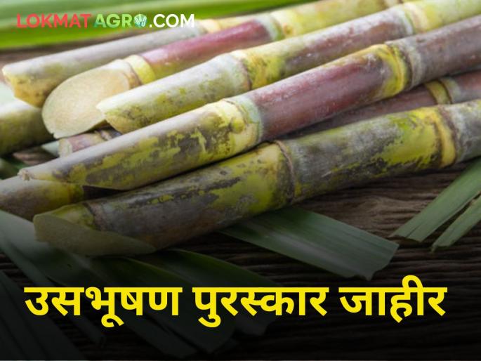 farmer Usabhushan Award announced by Vasantdada Sugar Institute Honor to be International Conference | वसंतदादा शुगर इन्स्टिट्युटकडून उसभूषण पुरस्कार जाहीर; आंतरराष्ट्रीय परिषदेत होणार सन्मान farmer Usabhushan Award announced by Vasantdada Sugar Institute Honor to be International Conference | वसंतदादा शुगर इन्स्टिट्युटकडून उसभूषण पुरस्कार जाहीर; आंतरराष्ट्रीय परिषदेत होणार सन्मान