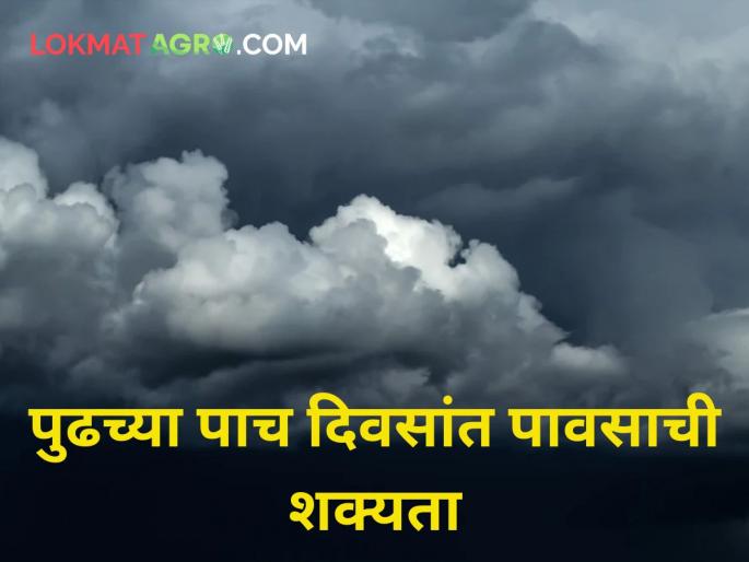 It will rain in the next five days imd pune Meteorologist manikrao khule weather hailstrome | पुढच्या पाच दिवसांत 'या' भागात अवकाळी पावसाची शक्यता It will rain in the next five days imd pune Meteorologist manikrao khule weather hailstrome | पुढच्या पाच दिवसांत 'या' भागात अवकाळी पावसाची शक्यता