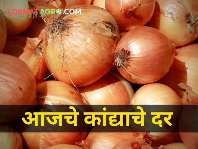 maharashtra agriculture farmer onion market yard rates today | आजचे कांद्याचे बाजारभाव maharashtra agriculture farmer onion market yard rates today | आजचे कांद्याचे बाजारभाव