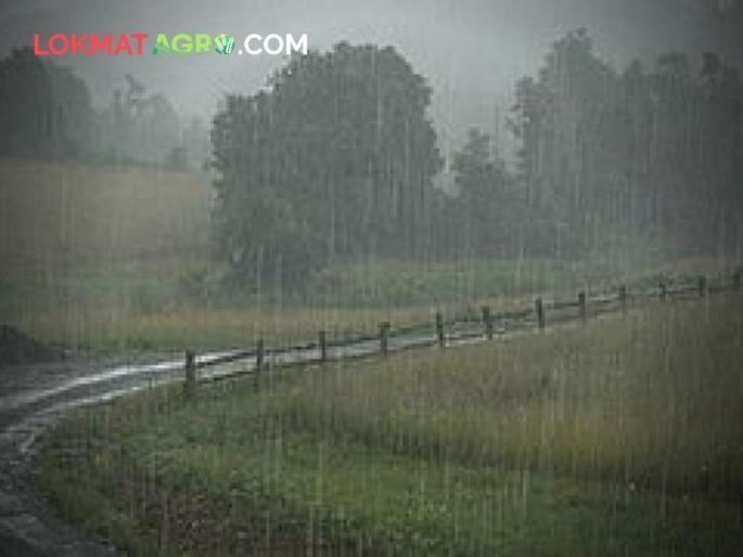 Rains begin maharashtra agriculture farmer crops will damaged | महाराष्ट्राच्या विविध ठिकाणी पावसाला सुरूवात Rains begin maharashtra agriculture farmer crops will damaged | महाराष्ट्राच्या विविध ठिकाणी पावसाला सुरूवात