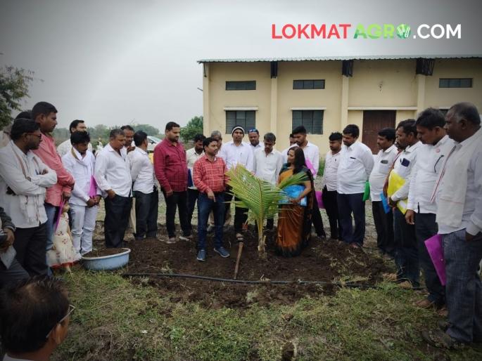 Coconut dream tree farmers workshop completed kvk khamgaon agriculture training | नारळ हा शेतकऱ्यांसाठी कल्पवृक्ष; KVK आयोजित कार्यशाळा संपन्न Coconut dream tree farmers workshop completed kvk khamgaon agriculture training | नारळ हा शेतकऱ्यांसाठी कल्पवृक्ष; KVK आयोजित कार्यशाळा संपन्न