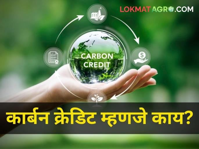What is Carbon Credit How will farmers benefit global warming temperature | कार्बन क्रेडिट म्हणजे काय? शेतकऱ्यांना कसा होणार फायदा? What is Carbon Credit How will farmers benefit global warming temperature | कार्बन क्रेडिट म्हणजे काय? शेतकऱ्यांना कसा होणार फायदा?