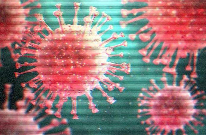 CoronaVirus in Nagpur: Disrupted and family members take initiative to investigate themselves | CoronaVirus in Nagpur : बाधित व कुटुंबीयांनी स्वत:हून तपासणीसाठी पुढाकार घेतला CoronaVirus in Nagpur: Disrupted and family members take initiative to investigate themselves | CoronaVirus in Nagpur : बाधित व कुटुंबीयांनी स्वत:हून तपासणीसाठी पुढाकार घेतला