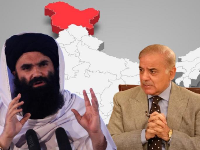 Taliban vs Pakistan war Taliban make fun of PAK Army say Kashmir could not be captured in 75 years | "७५ वर्षांत काश्मीर ताब्यात घेता आले नाही अन्..."; तालिबानने पाकिस्तानच्या दुखऱ्या बाजूवर मीठ रगडले.... Taliban vs Pakistan war Taliban make fun of PAK Army say Kashmir could not be captured in 75 years | "७५ वर्षांत काश्मीर ताब्यात घेता आले नाही अन्..."; तालिबानने पाकिस्तानच्या दुखऱ्या बाजूवर मीठ रगडले....