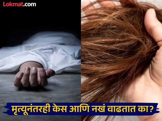Does these body part continue to grow even after death experts reveal the truth | खरंच मृत्यूनंतरही व्यक्तीचे केस आणि नखं वाढतात का? पाहा याबाबत काय खरं आणि काय खोटं... Does these body part continue to grow even after death experts reveal the truth | खरंच मृत्यूनंतरही व्यक्तीचे केस आणि नखं वाढतात का? पाहा याबाबत काय खरं आणि काय खोटं...