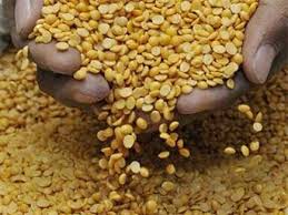 After Diwali, the poor got pulses | दिवाळीनंतर गरिबांसाठी मिळाली डाळ After Diwali, the poor got pulses | दिवाळीनंतर गरिबांसाठी मिळाली डाळ