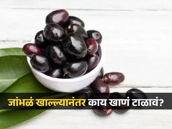 What should you avoid to eat after eating jamun or plum | आंबट-गोड जांभळं खाल्ल्यावर 'या' गोष्टी खाणं टाळा, अचानक बिघडू शकते तब्येत!