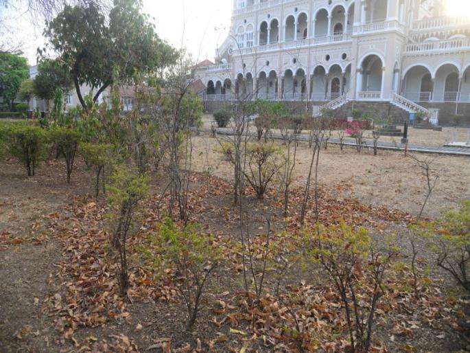 Aga Khan Palace management ready to fill up the stagnant water | Aga Khan Palace: आगाखान पॅलेसमधील बाग पुन्हा फुलणार; महापालिकेने उपलब्ध करून दिला 'हा' पर्याय Aga Khan Palace management ready to fill up the stagnant water | Aga Khan Palace: आगाखान पॅलेसमधील बाग पुन्हा फुलणार; महापालिकेने उपलब्ध करून दिला 'हा' पर्याय