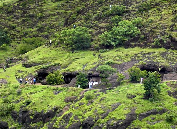 Jagar, Forest Department's initiative in fifteen villages to save birds | पक्षी वाचवासाठी पंधरा गावांत जागर, वन विभागाचा उपक्रम