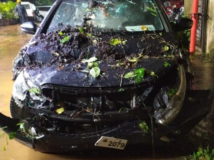 It continues to rain in Thane; Massive damage to 14 vehicles due to falling wall and trees | ठाण्यात पावसाचे बरसणे सुरूच; भिंत अन् झाडे पडून १४ गाड्यांचे मोठ्या प्रमाणात नुकसान It continues to rain in Thane; Massive damage to 14 vehicles due to falling wall and trees | ठाण्यात पावसाचे बरसणे सुरूच; भिंत अन् झाडे पडून १४ गाड्यांचे मोठ्या प्रमाणात नुकसान