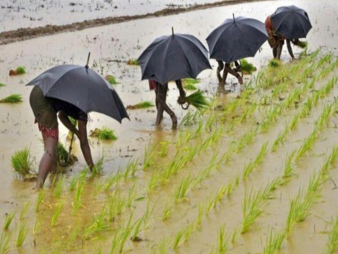 pune rain will reduce, sowing will start if there is a chance, situation in the state for the next five days | पाऊस कमी होणार, उघडीप मिळाल्यास पेरण्या मार्गी लागणार, राज्यात पुढील पाच दिवसांतील स्थिती pune rain will reduce, sowing will start if there is a chance, situation in the state for the next five days | पाऊस कमी होणार, उघडीप मिळाल्यास पेरण्या मार्गी लागणार, राज्यात पुढील पाच दिवसांतील स्थिती