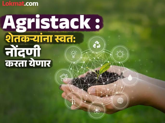 Farmers can register in Agristack from home | Agristack : शेतकऱ्यांना ॲग्रिस्टॅकमध्ये घरबसल्या नोंदणी शक्य Farmers can register in Agristack from home | Agristack : शेतकऱ्यांना ॲग्रिस्टॅकमध्ये घरबसल्या नोंदणी शक्य