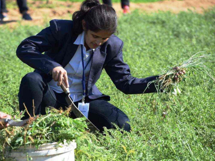 Chhatrapati Samabhajinagar Government Women Agricultural College announced a year ago; But nothing further | छत्रपती संभाजीनगरात शासकीय महिला कृषी महाविद्यालयाची वर्षभरापूर्वी घोषणा; पुढे काहीच नाही Chhatrapati Samabhajinagar Government Women Agricultural College announced a year ago; But nothing further | छत्रपती संभाजीनगरात शासकीय महिला कृषी महाविद्यालयाची वर्षभरापूर्वी घोषणा; पुढे काहीच नाही