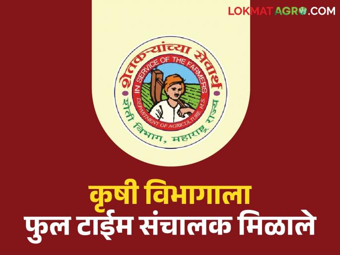 Finally, the state got a full time agriculture director; 'this' in-charge director got promotion | अखेर राज्याला फुल टाईम कृषी संचालक मिळाले; 'या' प्रभारी संचालकांना मिळाली पदोन्नती