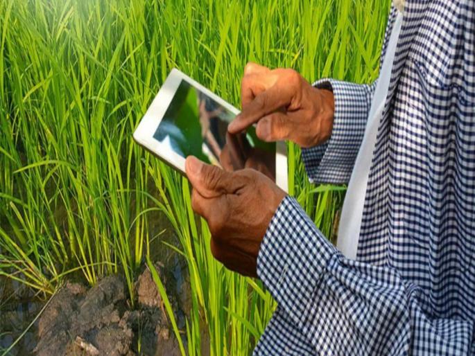 pune news Four crore 35 lakh agricultural extracts downloaded, revenue of 76 crore 80 lakh in the treasury | चार कोटी ३५ लाख शेती उतारे डाऊनलोड; ७६ कोटी ८० लाखांचा महसूल तिजोरीत pune news Four crore 35 lakh agricultural extracts downloaded, revenue of 76 crore 80 lakh in the treasury | चार कोटी ३५ लाख शेती उतारे डाऊनलोड; ७६ कोटी ८० लाखांचा महसूल तिजोरीत