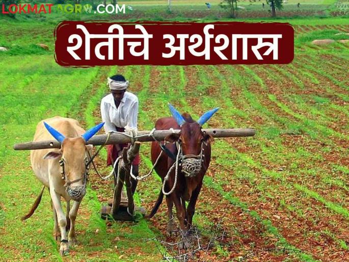 Latest News understand economics of agriculture, success in farming see details | Agriculture News : ज्याला शेतीचे अर्थशास्त्र समजले, त्याला नक्की यश मिळेल! वाचा सविस्तर  Latest News understand economics of agriculture, success in farming see details | Agriculture News : ज्याला शेतीचे अर्थशास्त्र समजले, त्याला नक्की यश मिळेल! वाचा सविस्तर