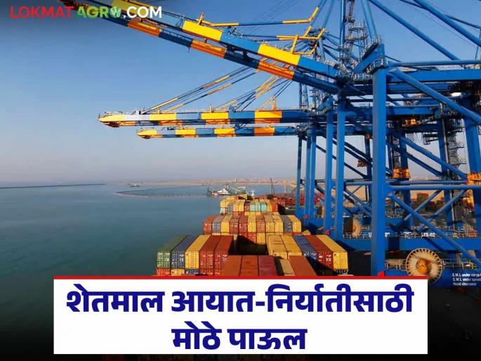 Krishi Niryat : JNPA's new processing center to be opened on 27 acres to boost agricultural exports | Krishi Niryat : शेतमाल निर्यातीला चालना देण्यासाठी तब्बल २७ एकरांवर सुरु होतंय हे प्रक्रिया केंद्र Krishi Niryat : JNPA's new processing center to be opened on 27 acres to boost agricultural exports | Krishi Niryat : शेतमाल निर्यातीला चालना देण्यासाठी तब्बल २७ एकरांवर सुरु होतंय हे प्रक्रिया केंद्र