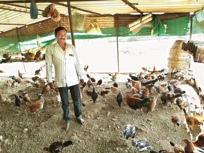 Traditional farming? Hi! Booming Dream Project! | पारंपरिक शेती ? छे ! पाच एकरात उभारला ड्रीम प्रोजेक्ट ! Traditional farming? Hi! Booming Dream Project! | पारंपरिक शेती ? छे ! पाच एकरात उभारला ड्रीम प्रोजेक्ट !