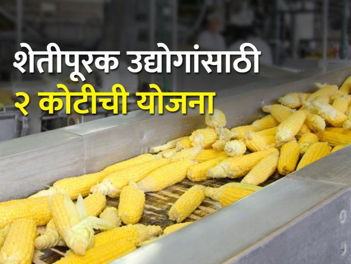 A loan of 2 crores will be available for agriculture allied business | शेतीपूरक उद्योगासाठी मिळेल २ कोटींचे कर्ज A loan of 2 crores will be available for agriculture allied business | शेतीपूरक उद्योगासाठी मिळेल २ कोटींचे कर्ज