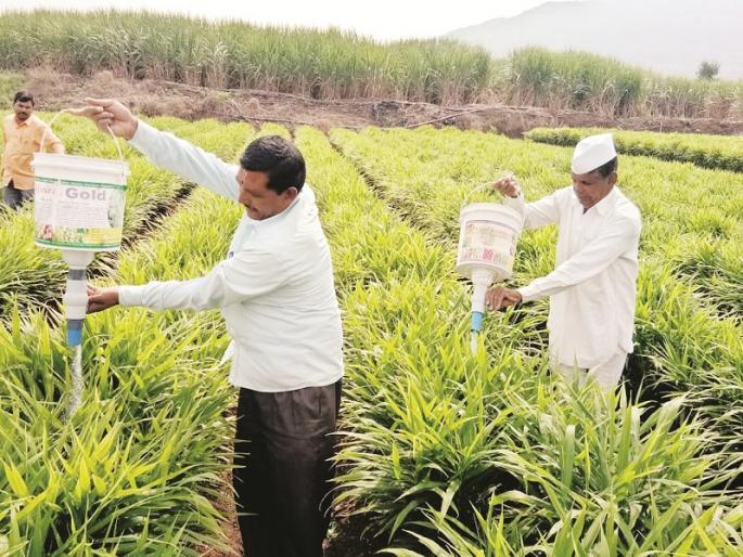 The machine made to make mixture of dose | पिकांना भेसळ डोस देण्यासाठी बनविले यंत्र The machine made to make mixture of dose | पिकांना भेसळ डोस देण्यासाठी बनविले यंत्र